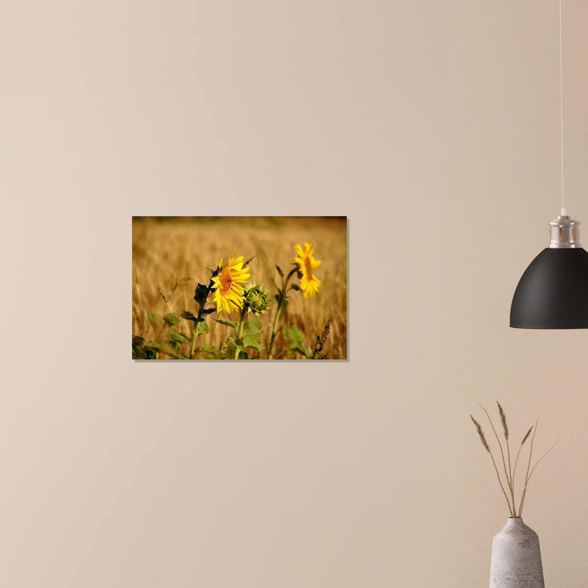 829aed03-c6ac-4bc0-a7b9-89d797bc62ad