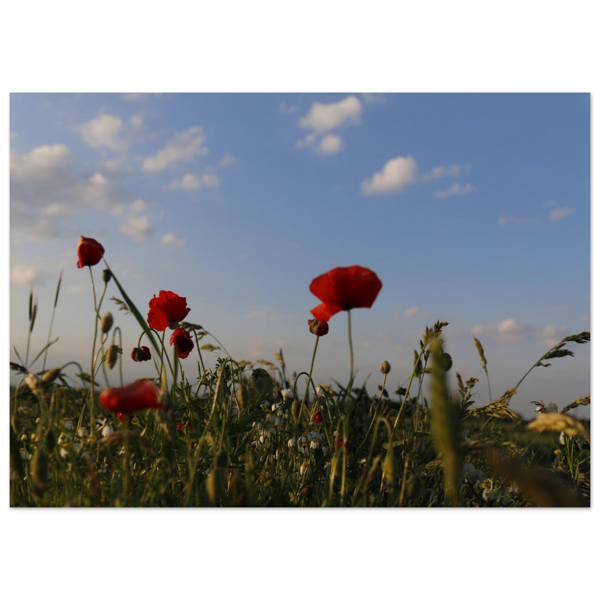 84f23579-5c05-4c49-acc3-c451032bb9ea