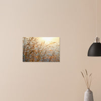 86a030b0-eb7e-4789-81a5-a25ef1b87017