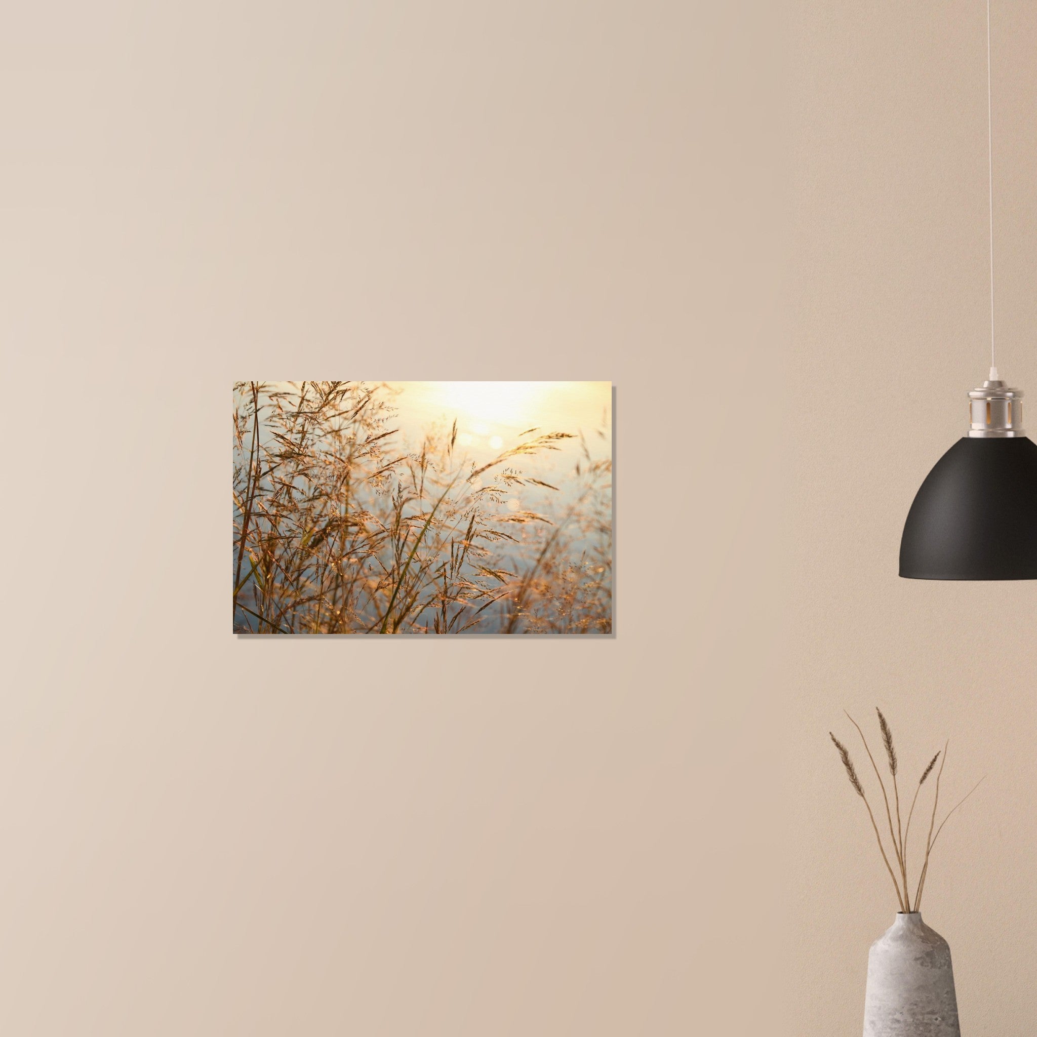 86a030b0-eb7e-4789-81a5-a25ef1b87017