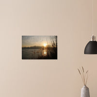 8822d76f-101c-49fd-ad04-3f48a4d486d4