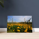 883b2c06-a678-41d6-9eee-08f2b9d4e4f5