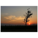 88bacb89-faf5-4fad-95f7-e094cb59555f