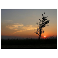 88bacb89-faf5-4fad-95f7-e094cb59555f