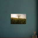 89742487-9451-480f-a6df-b4a99bea9acb