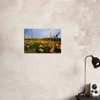 8c7002c0-178e-4988-b21d-cc78b1c6731b