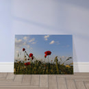 90e40801-17a6-4fbc-8cf9-08417a6fc7d0