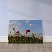 90e40801-17a6-4fbc-8cf9-08417a6fc7d0