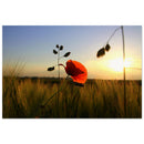 91c68261-2e90-4889-8aea-fc71d8cb6978