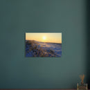 Frosted grass blades glowing in low golden sunlight during a cold morning in Prekmurje, Slovenia — BETVA fine art nature poster