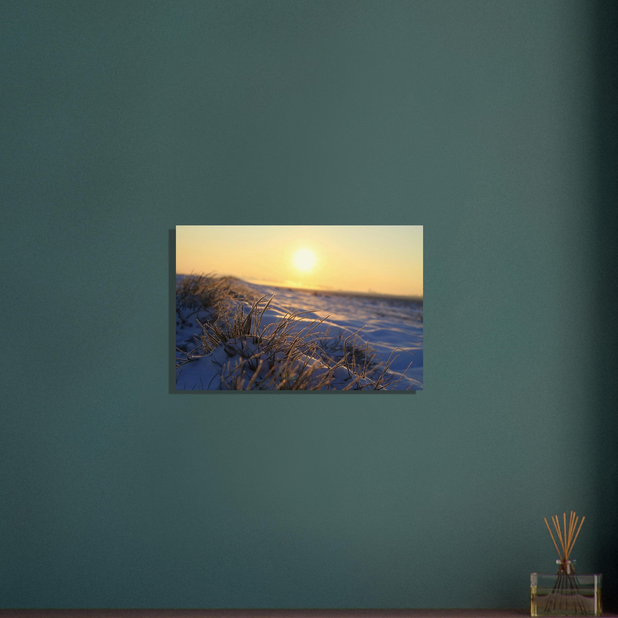 Frosted grass blades glowing in low golden sunlight during a cold morning in Prekmurje, Slovenia — BETVA fine art nature poster