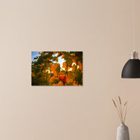 94b37c46-43de-49cc-b921-8437e3660984