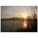 94f6432a-739f-4d05-a0e5-e095b972aaf3