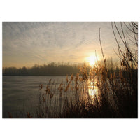 94f6432a-739f-4d05-a0e5-e095b972aaf3