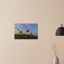 95296749-8cb9-4a96-9751-b5d56ac4c4a0