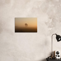 96a00076-7b29-444e-aefe-65d0fb3295d1