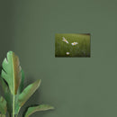 96bcb2cd-0c50-4ae7-ba9a-db9a5b6b48e9