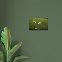 96bcb2cd-0c50-4ae7-ba9a-db9a5b6b48e9