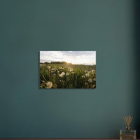 96dc9d5a-bac9-4898-af34-cc2a3fdd6d5b