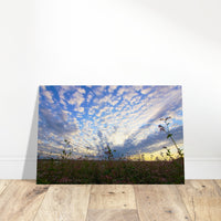 9b00b853-fe5e-4fce-8c87-8d7e5890d8f0