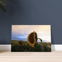 9b3bf8be-905f-4be2-b38b-7c21e975a34a