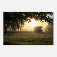 9cfca4d4-8006-43d1-9a44-d981a259922d