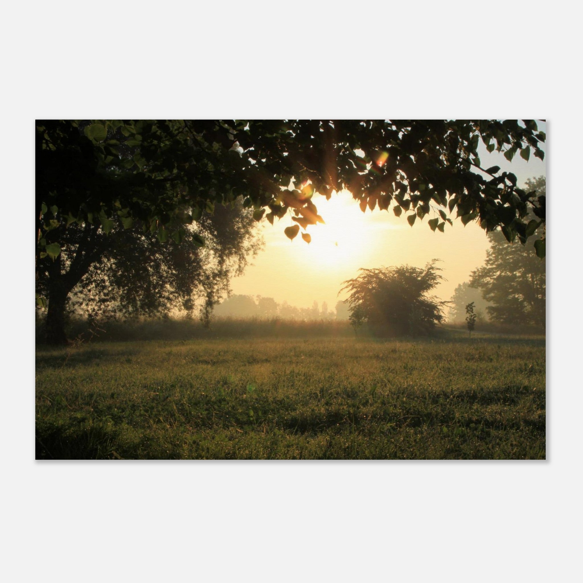 9cfca4d4-8006-43d1-9a44-d981a259922d