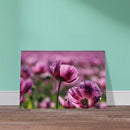 9d0315a2-ff91-44d0-9ea1-3595801c6b27