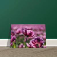 9e13310e-8f90-4e78-90f6-b969b26673cd