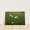 9e5c8cd2-caac-4ec9-8088-5f8818f4a9a2