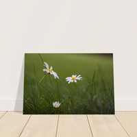 9e5c8cd2-caac-4ec9-8088-5f8818f4a9a2