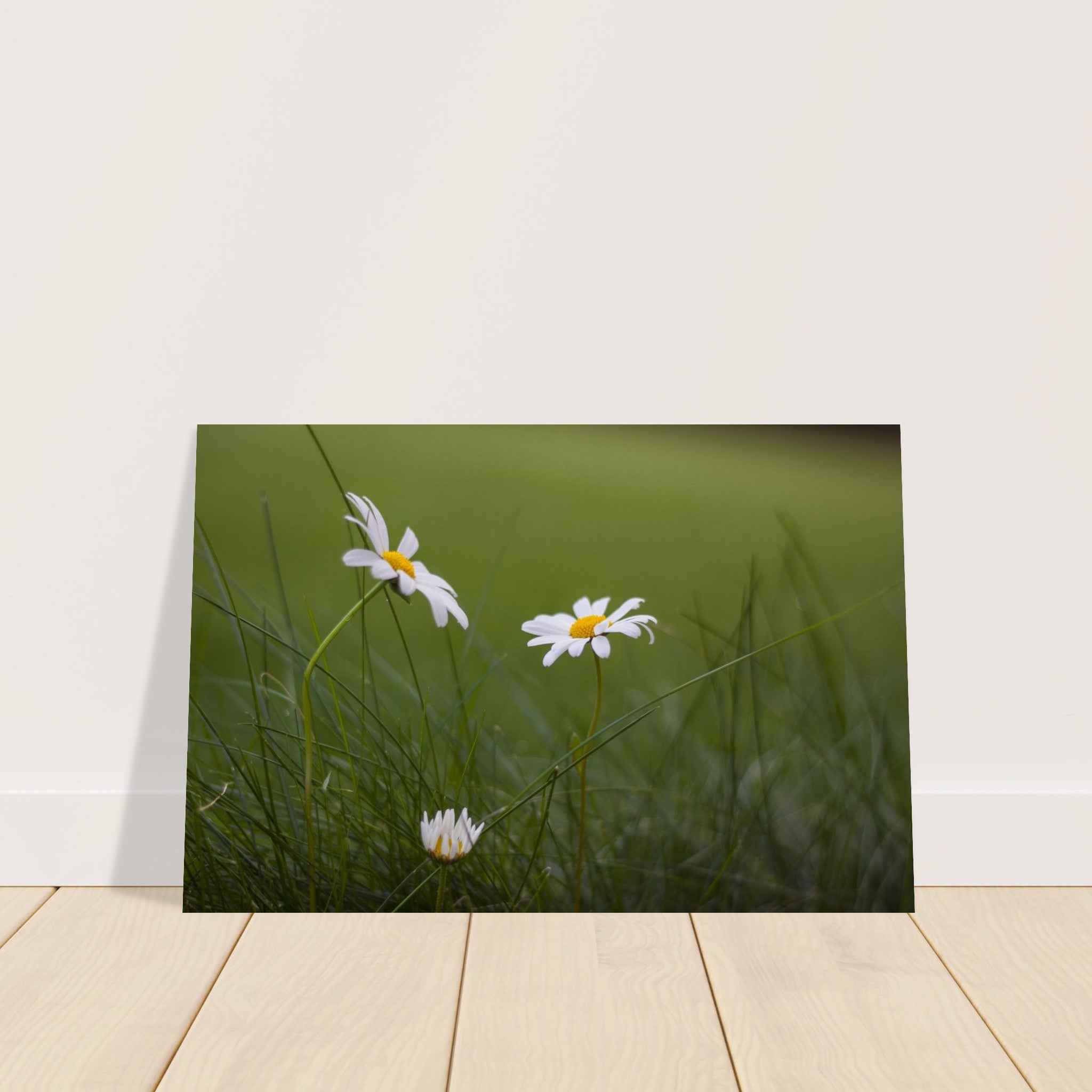 9e5c8cd2-caac-4ec9-8088-5f8818f4a9a2