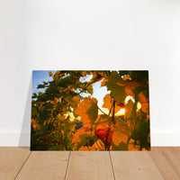 9e9149e9-b65d-482a-9eb3-27ee00a6d514