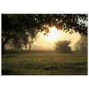 9ec1fae8-1abb-4bcc-b9bc-7901dab1f65c