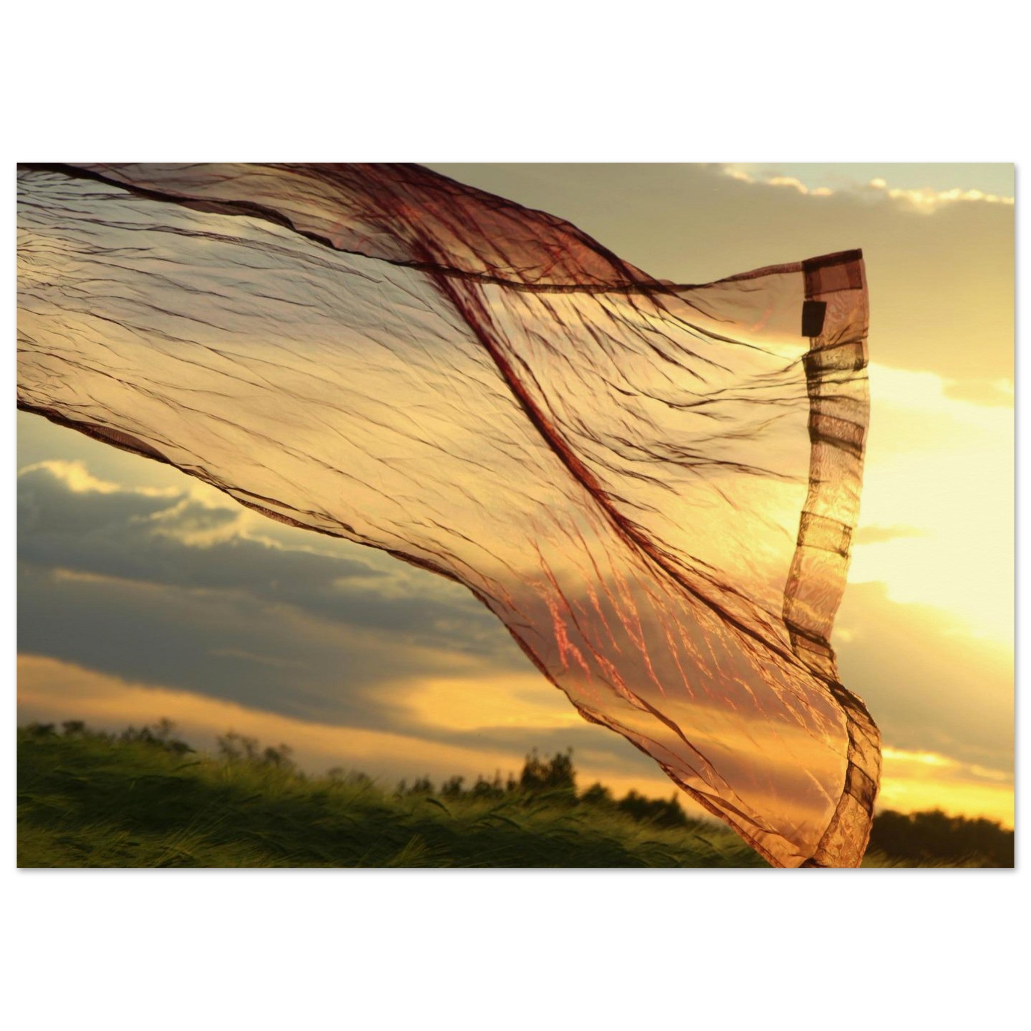 Windveil at Sunset — Nature Fine Art Poster | BETVA Wall Art