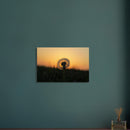 a157e37f-7ba5-4172-94da-a84da3347d17