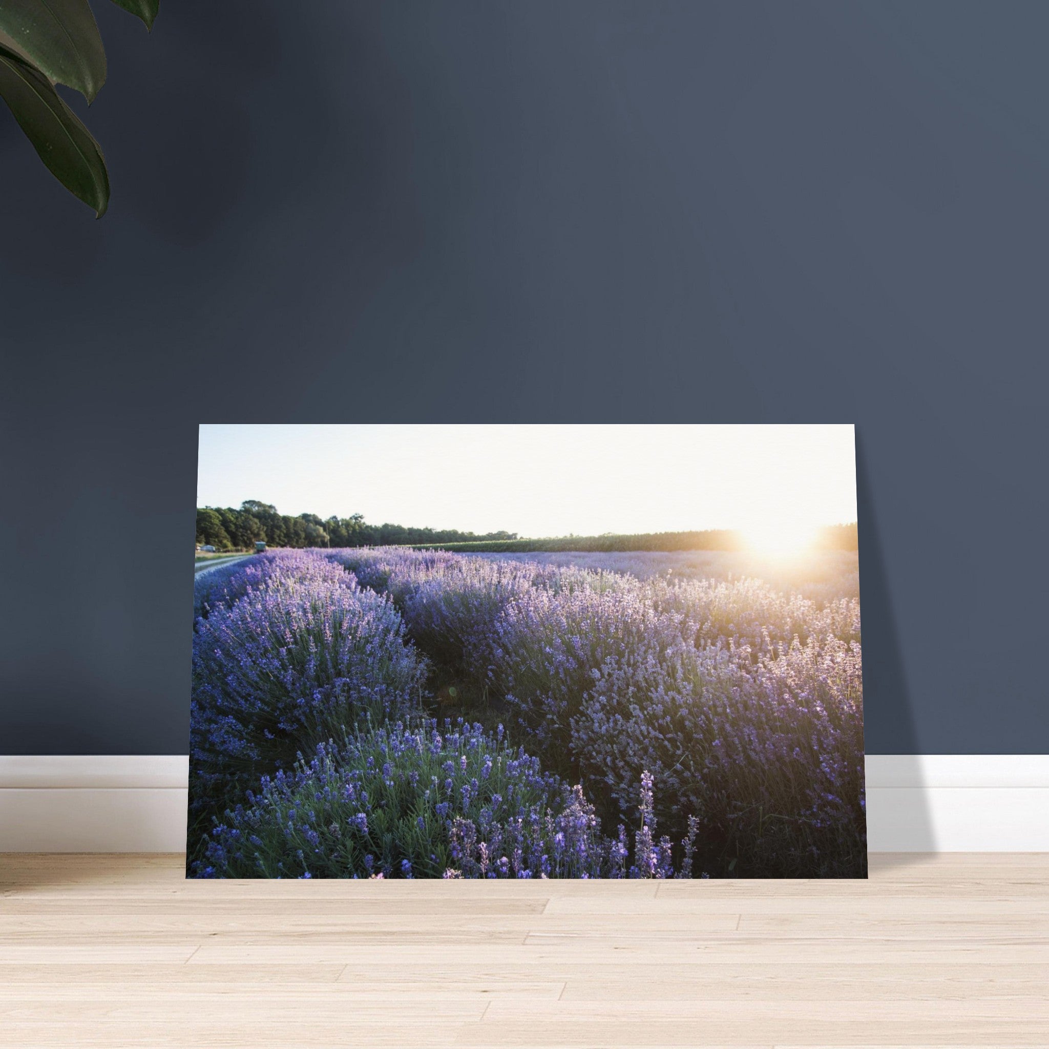 a51e618b-da25-4c5f-a9e4-6e340d4d6c52