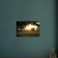 a6139a2d-7f74-4fcb-9856-59aad2aa3a11