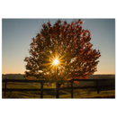 a6dfaf2e-355c-44fe-95ae-3970890fe432