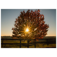 a6dfaf2e-355c-44fe-95ae-3970890fe432