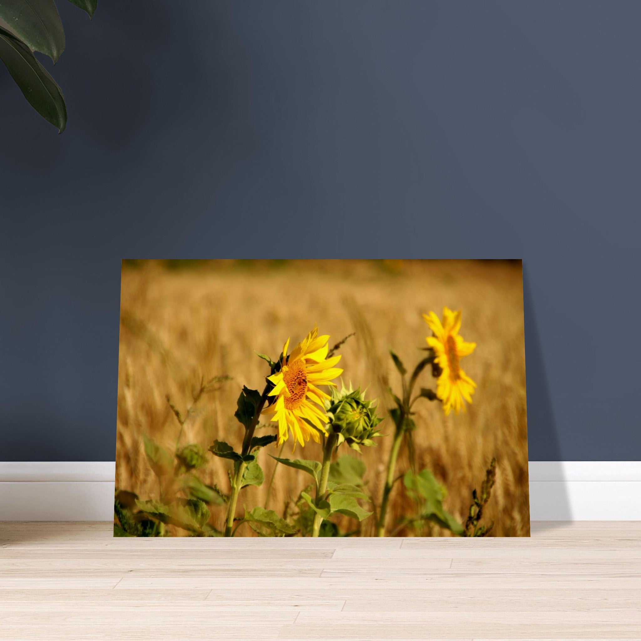 a93551b4-a226-4f12-8e0d-387abe480549