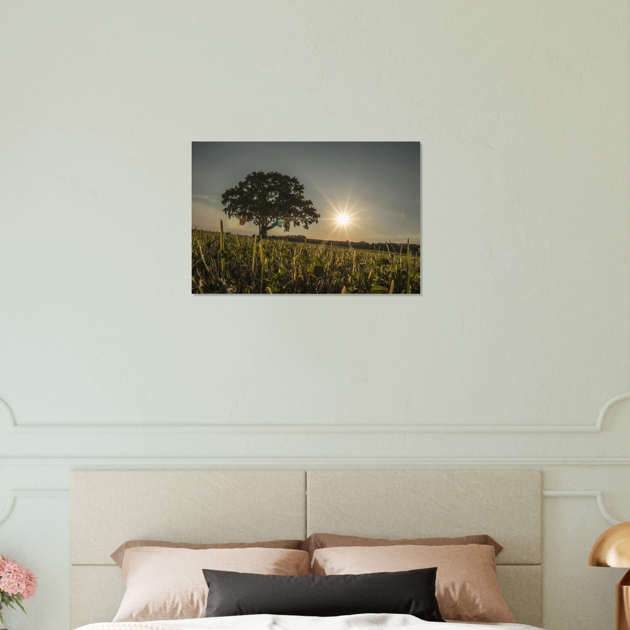 a9724e3c-df41-4823-a7c8-a8eeb218e290