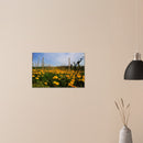 aa7dc1e1-3968-4d17-8a27-917e3ccc3836