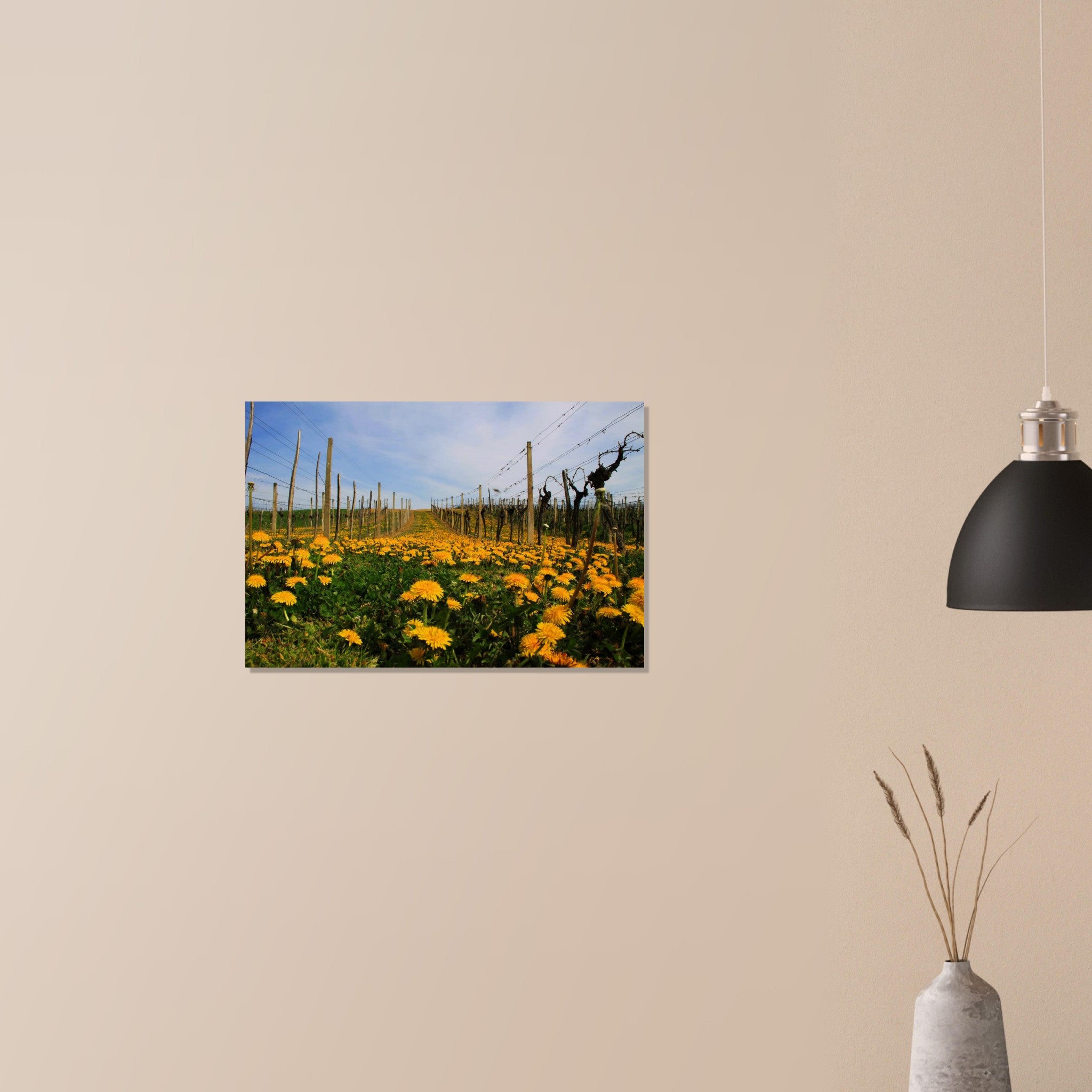 aa7dc1e1-3968-4d17-8a27-917e3ccc3836