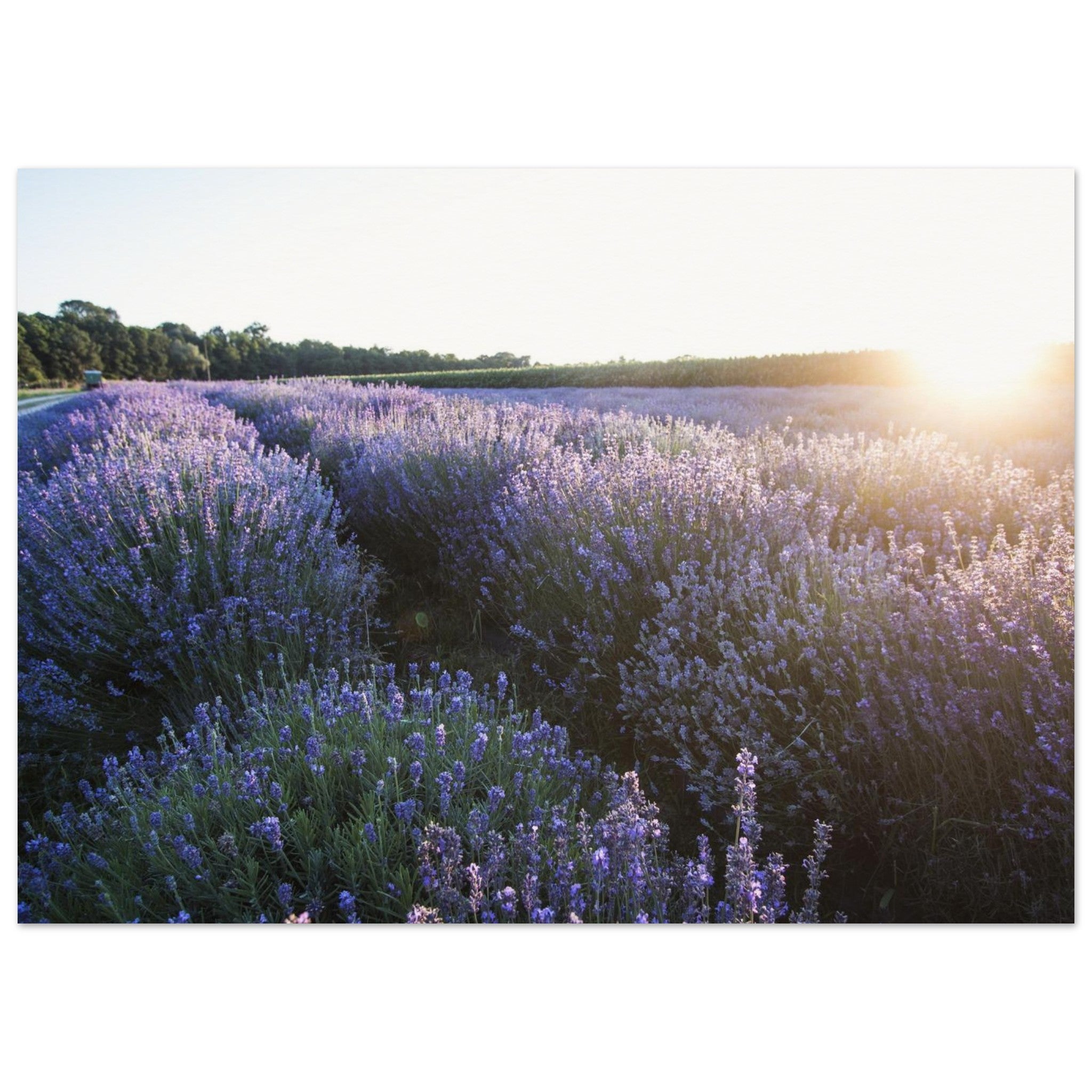 ac8b3c7e-f3f0-49c2-95b2-8c28be122350