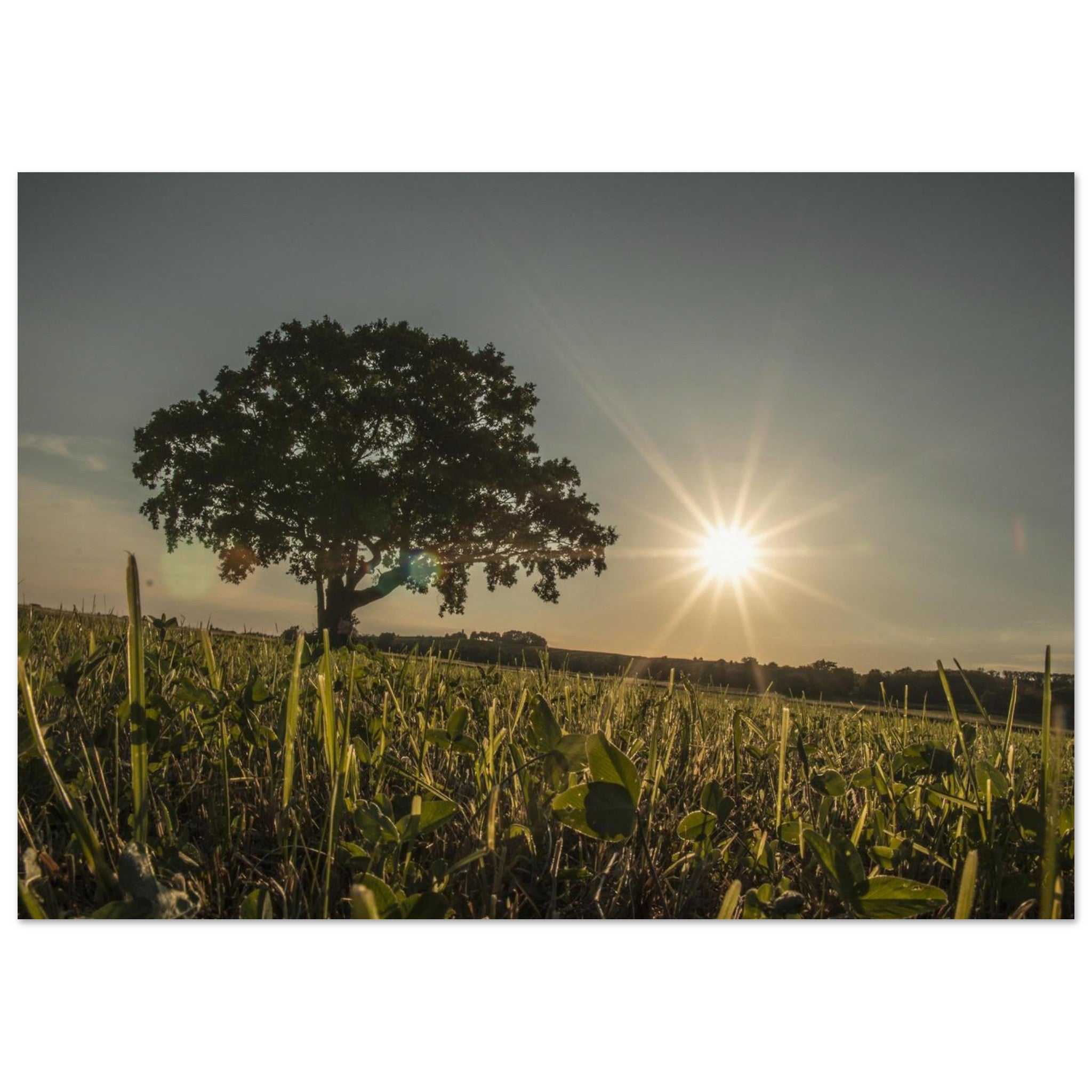 acf2881e-e138-435b-9191-a75a113bcee1