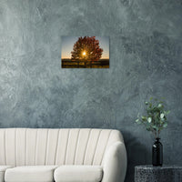 ad0bb26b-8fd5-4dbe-878a-9b3c8fe8c4c5