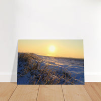 Frosted grass blades glowing in low golden sunlight during a cold morning in Prekmurje, Slovenia — BETVA fine art nature poster