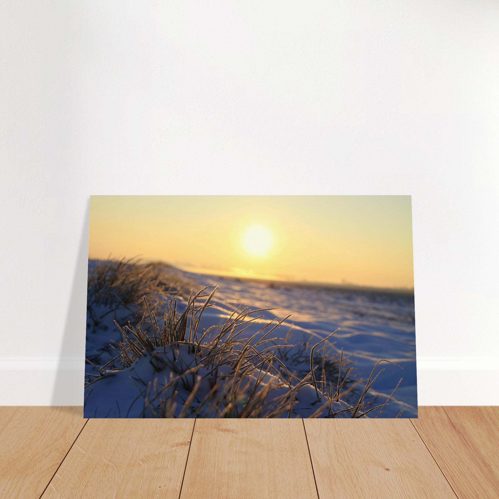 Frosted grass blades glowing in low golden sunlight during a cold morning in Prekmurje, Slovenia — BETVA fine art nature poster