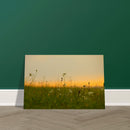 ae062dd7-b34f-42b3-8299-de1e7d6a165e